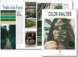 The magazine includes a seasonal colour palette selected from a wide range of approximately 3,700 CSI ColorWall colours. 