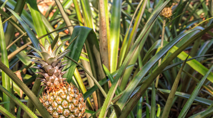 Taking fashion into an era of regenerative industrialisation © Circular Systems.