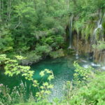 ZDHC Man-Made Cellulosic Guidelines Released © Dreamstime.