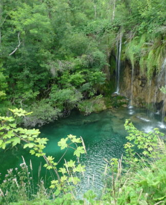 ZDHC Man-Made Cellulosic Guidelines Released © Dreamstime.