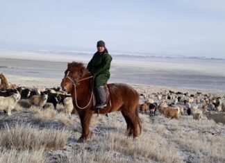 The program will give over 1000 women herders access to programs to help grow their individual businesses and take important leadership positions in their communities. © The Sustainable Fibre Alliance