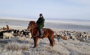The program will give over 1000 women herders access to programs to help grow their individual businesses and take important leadership positions in their communities. © The Sustainable Fibre Alliance