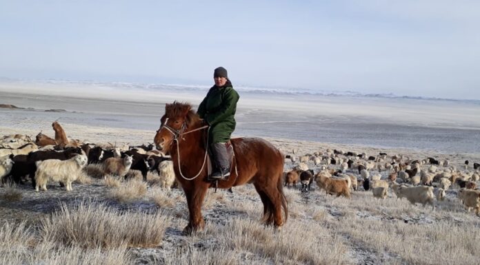 The program will give over 1000 women herders access to programs to help grow their individual businesses and take important leadership positions in their communities. © The Sustainable Fibre Alliance