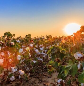 © U.S. Cotton Trust Protocol