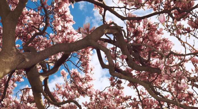 Collaboration takes competition from runway to rails © The R Collective