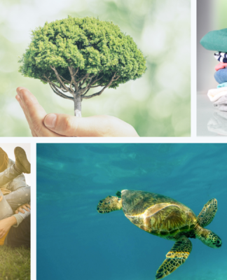 Fiber Fragmentation in the Fashion and Textile Industry © SGS